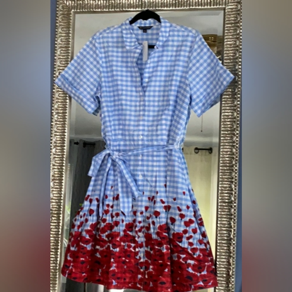 ISO Brooks Brothers Dress 4